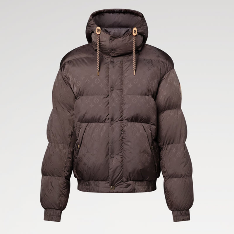 LOUIS VUITTON    モノグラム ダウンブルゾン  1AJBCB
