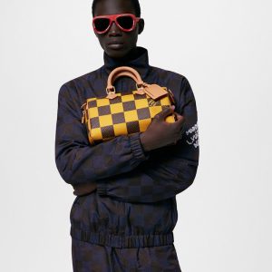 LOUIS VUITTON スピーディ･バンドリエール 25 Ref:N40584