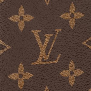 LOUIS VUITTON ルイヴィトン ポルトフォイユ・ブラザ Ref:M66540