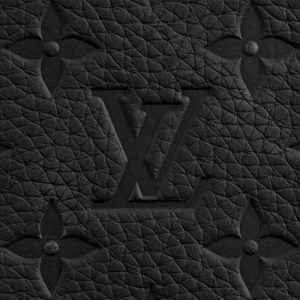 LOUIS VUITTON ポルトフォイユ・ブラザ Ref:M69038