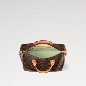 LOUIS VUITTON    スピーディー ソフト 30 ラッキーバッグ   Ref：M15107