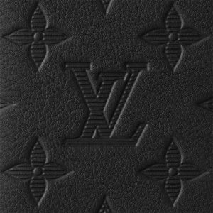 LOUIS VUITTON カードケース オーガナイザー･ドゥ ポッシュ   Ref：M62899
