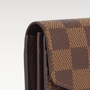 LOUIS VUITTON ポルトフォイユ･サラ   Ref：N63209